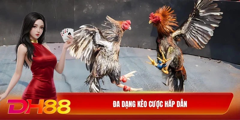 Đa dạng kèo cược hấp dẫn