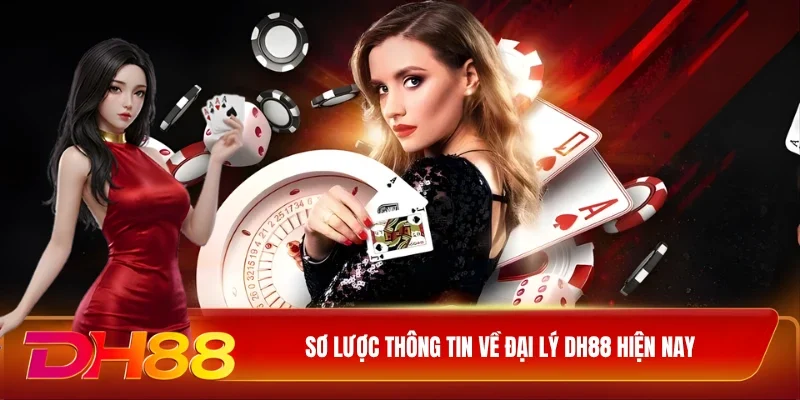 Sơ lược thông tin về đại lý DH88 hiện nay
